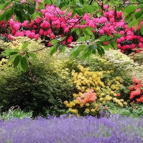 Swinton Estate Lunch & Guided Garden Tours & Talks Swinton Estate Lunch & Guided Garden Tours & Talks